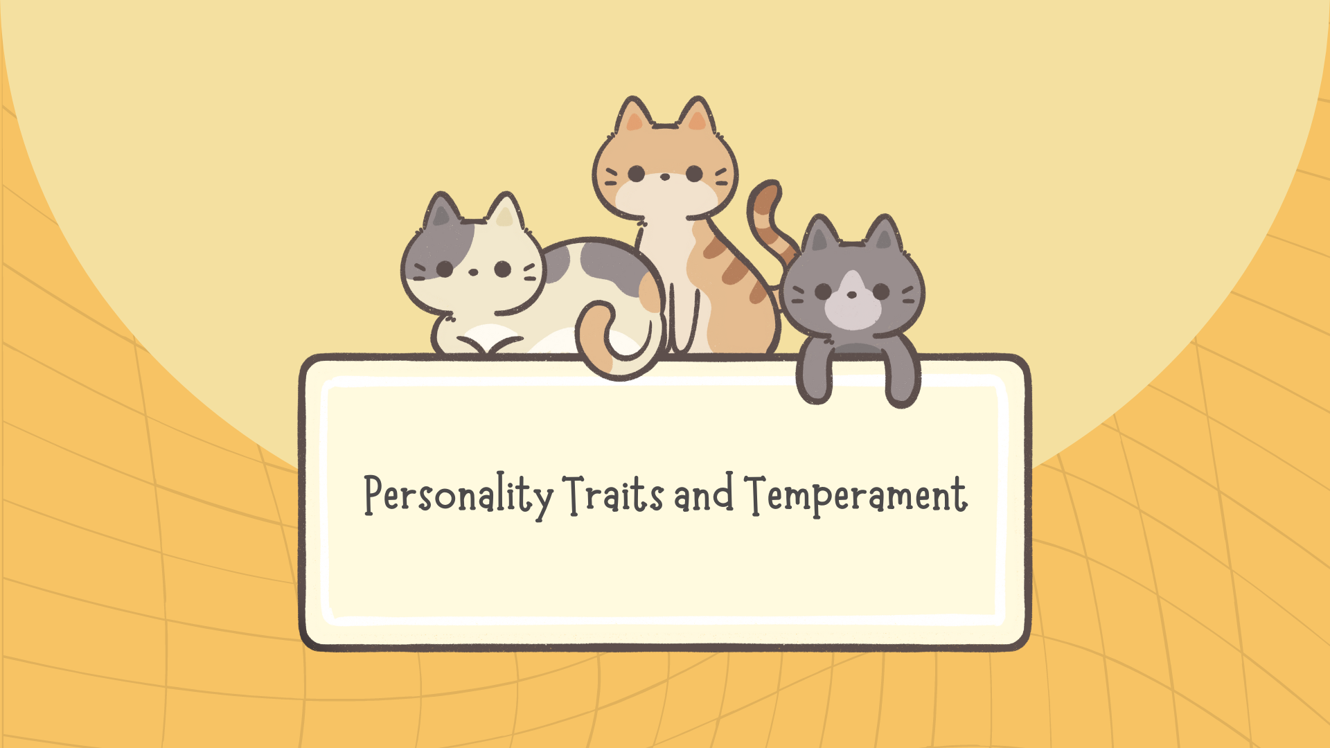 Personality Traits and Temperament of Abyssinian cats