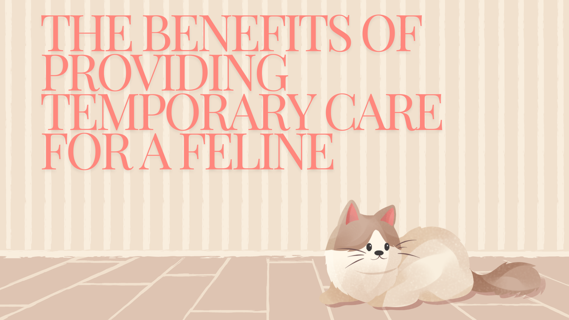 The Benefits of Providing Temporary Care for a Feline